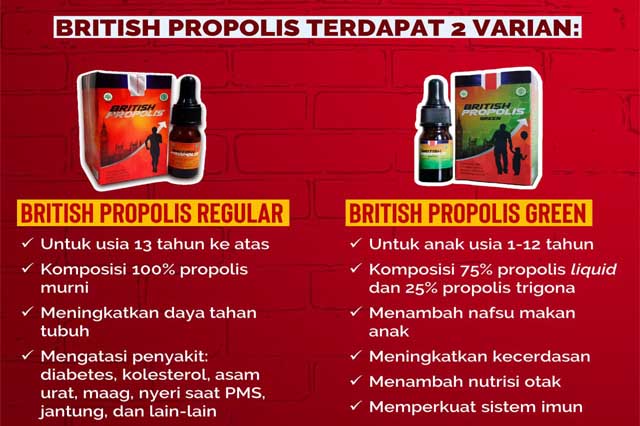 Manfaat British Propolis